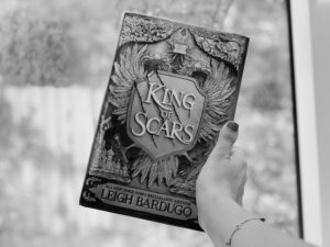 Read more about the article A Very Spoilery Chat: King of Scars Review