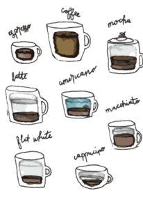 Diagrams of different types of specialty coffee drinks done in watercolor